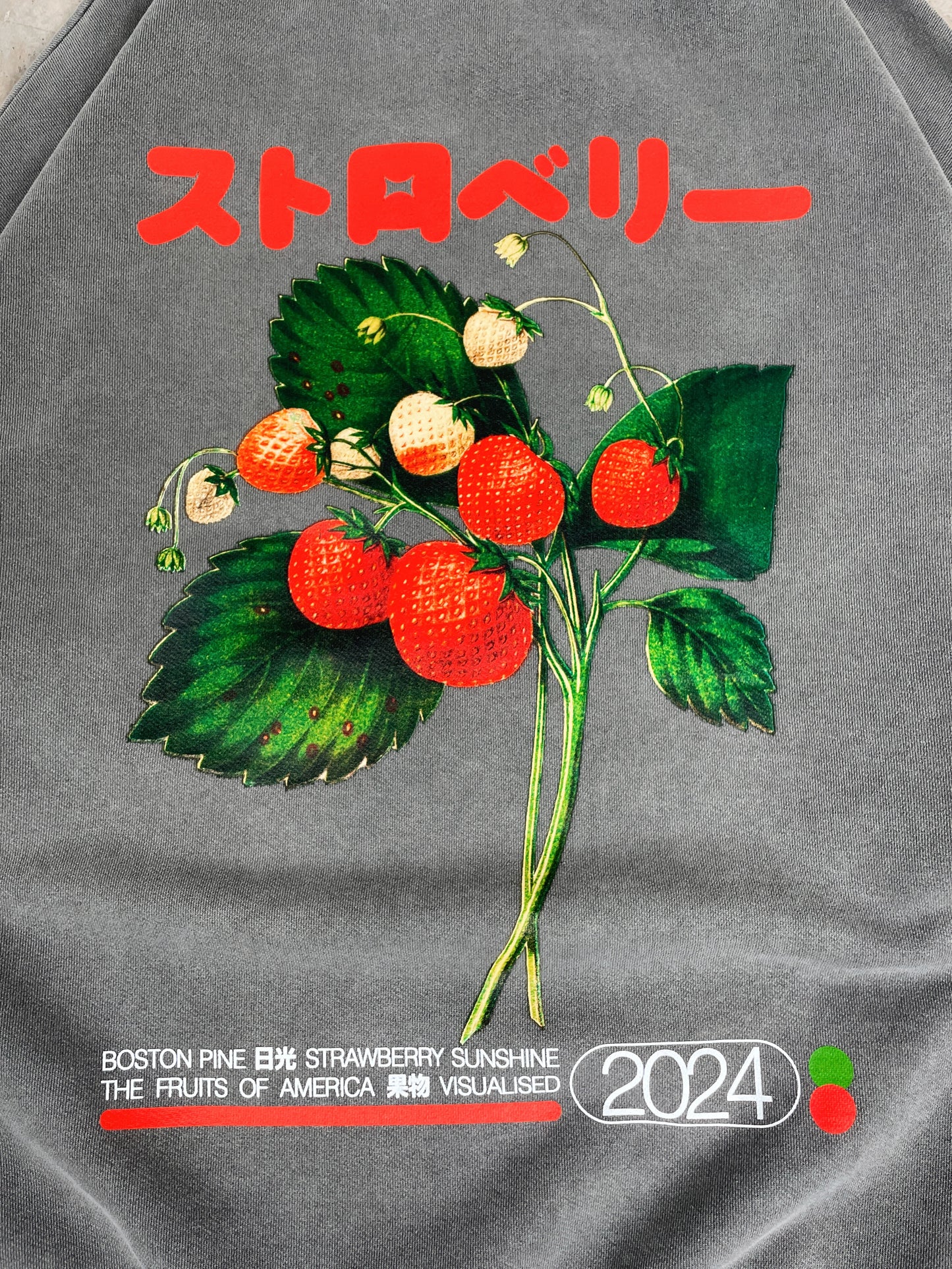 A Thousand Futures x GK 'Strawberry' Vintage Washed Sweater - Charcoal